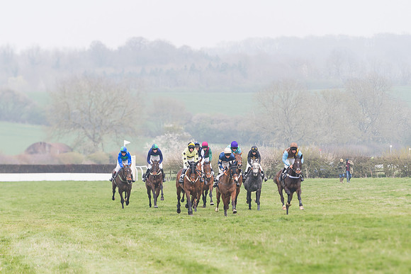 Race 4 - The Restricted  (52 of 137)