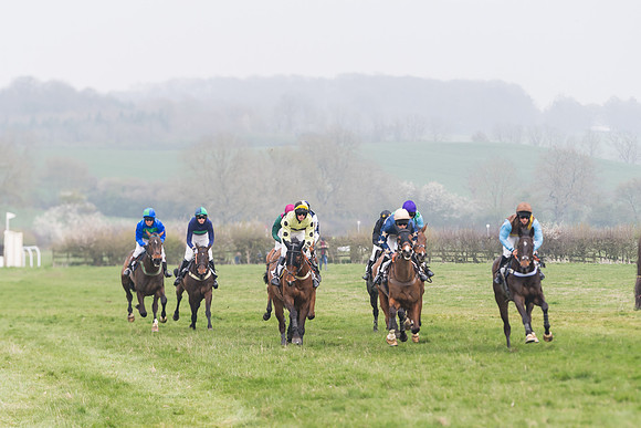 Race 4 - The Restricted  (54 of 137)