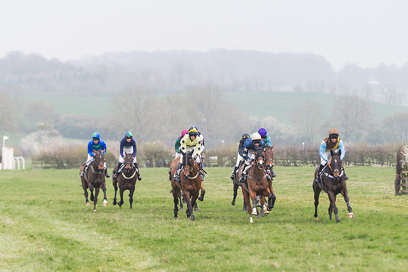 Race 4 - The Restricted  (55 of 137)