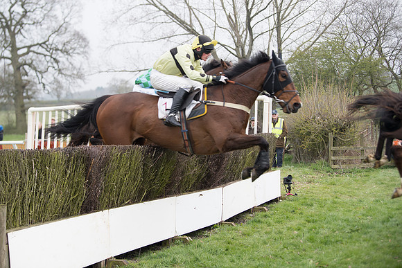 Race 4 - The Restricted  (61 of 137)