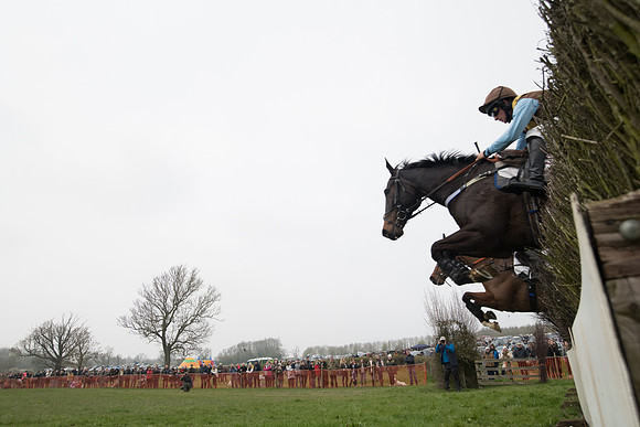 Race 4 - The Restricted  (64 of 137)
