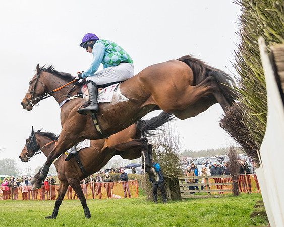 Race 4 - The Restricted  (69 of 137)