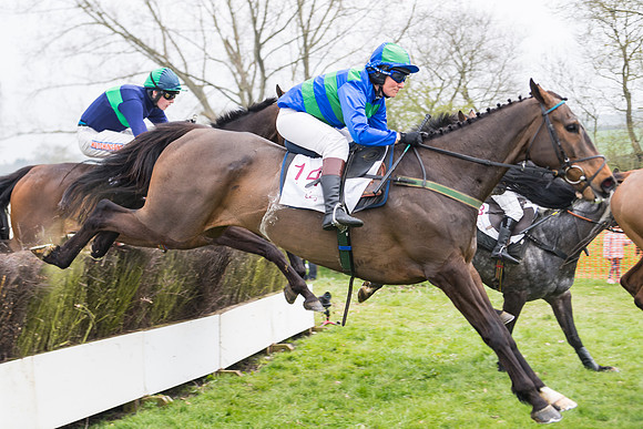 Race 4 - The Restricted  (72 of 137)