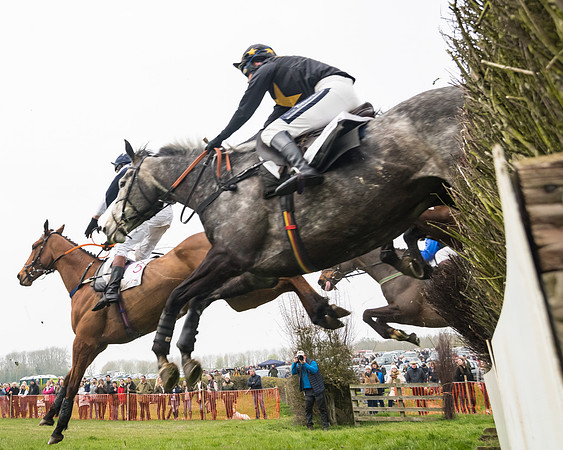 Race 4 - The Restricted  (74 of 137)