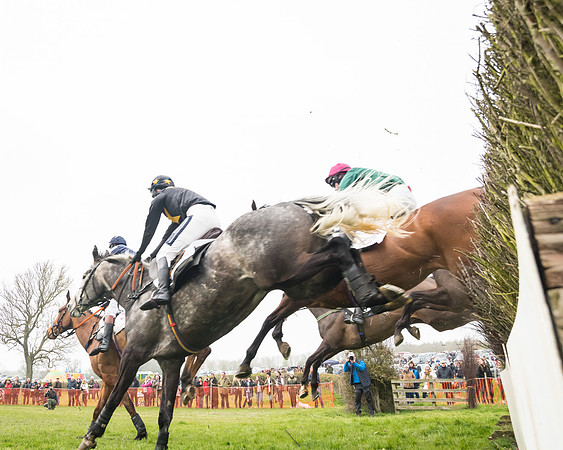 Race 4 - The Restricted  (75 of 137)