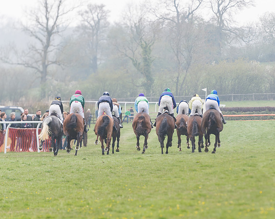 Race 4 - The Restricted  (76 of 137)