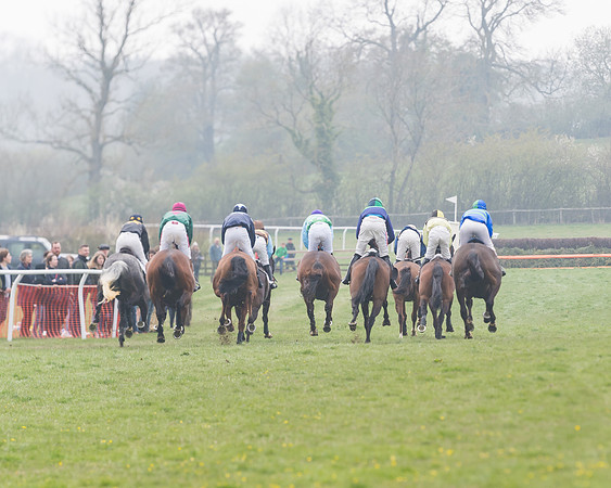 Race 4 - The Restricted  (77 of 137)