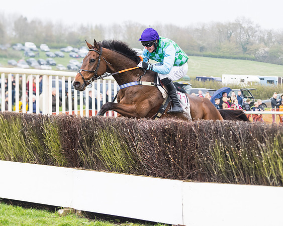 Race 4 - The Restricted  (78 of 137)