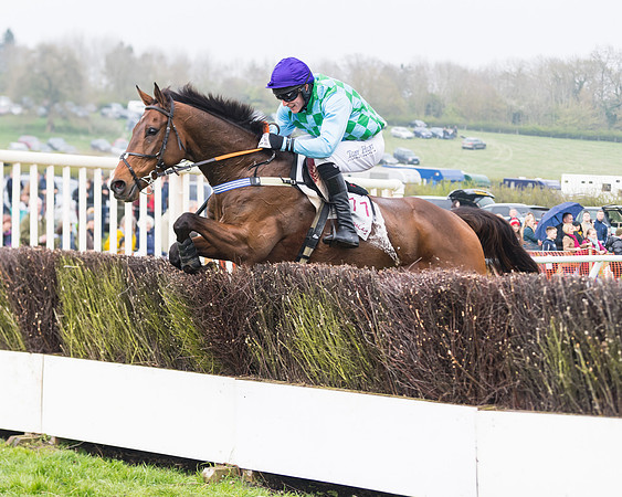 Race 4 - The Restricted  (79 of 137)