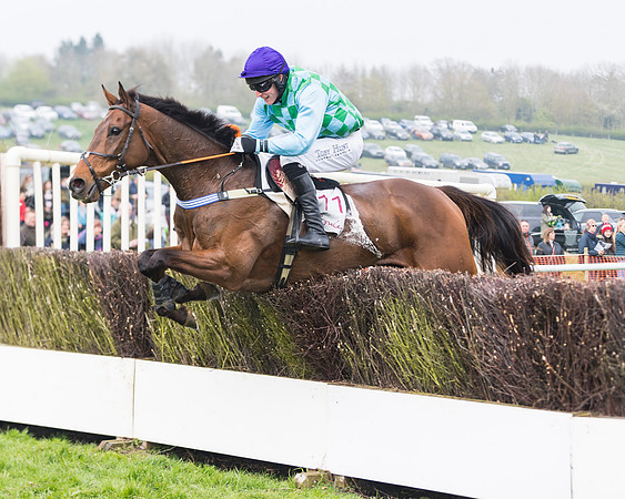 Race 4 - The Restricted  (80 of 137)