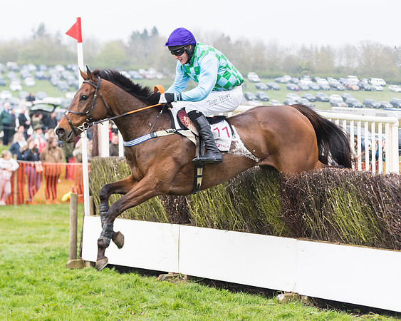 Race 4 - The Restricted  (81 of 137)