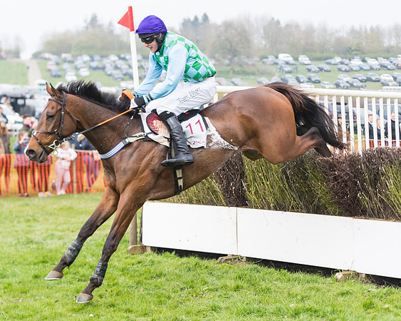 Race 4 - The Restricted  (82 of 137)