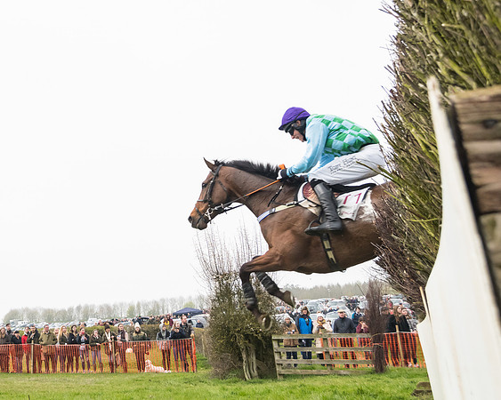 Race 4 - The Restricted  (83 of 137)