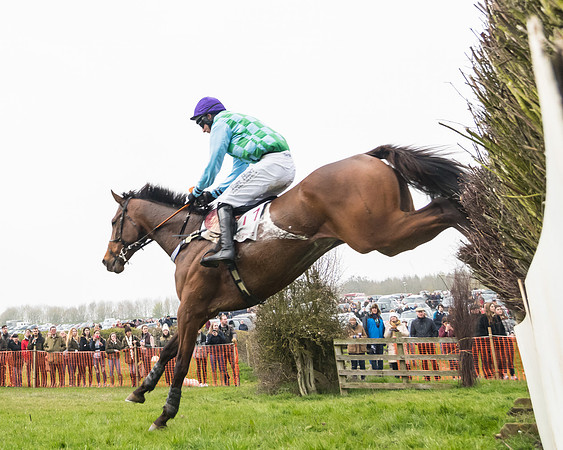 Race 4 - The Restricted  (84 of 137)