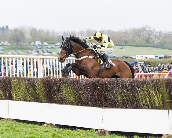 Race 4 - The Restricted  (85 of 137)