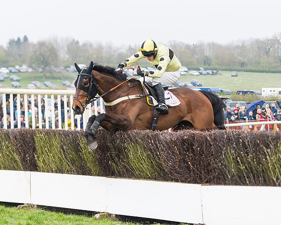 Race 4 - The Restricted  (86 of 137)