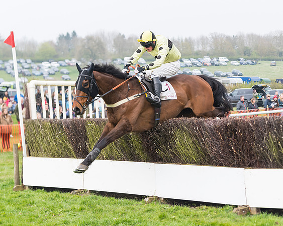 Race 4 - The Restricted  (87 of 137)