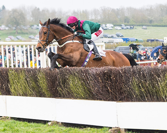 Race 4 - The Restricted  (89 of 137)