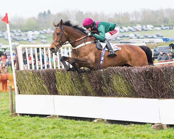 Race 4 - The Restricted  (90 of 137)