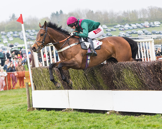 Race 4 - The Restricted  (91 of 137)