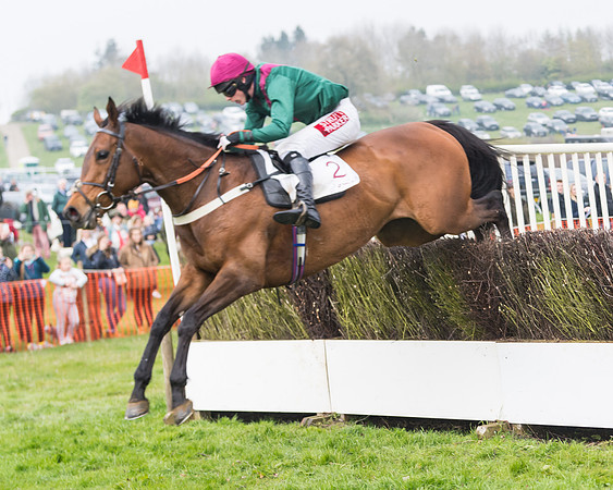 Race 4 - The Restricted  (92 of 137)
