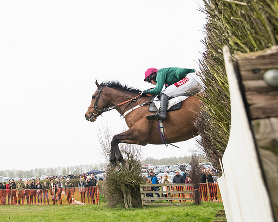 Race 4 - The Restricted  (93 of 137)