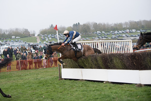 Race 4 - The Restricted  (94 of 137)