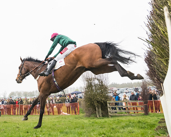 Race 4 - The Restricted  (95 of 137)