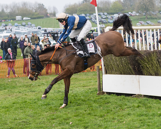 Race 4 - The Restricted  (97 of 137)