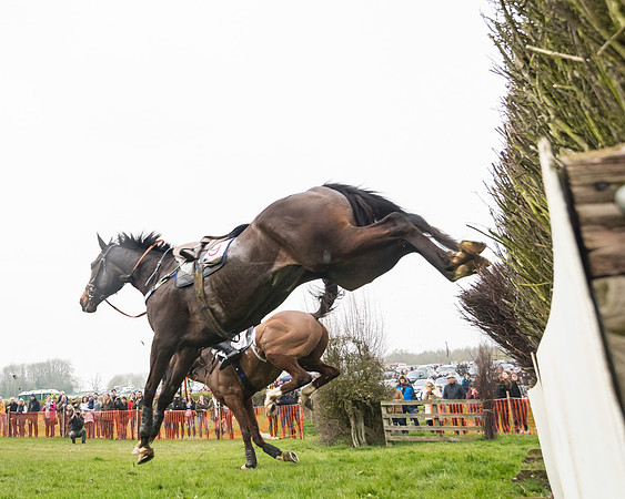 Race 4 - The Restricted  (99 of 137)