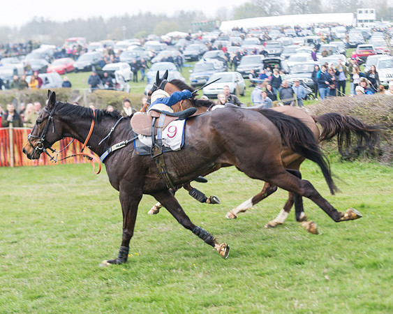 Race 4 - The Restricted  (100 of 137)