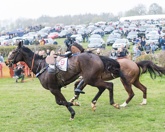 Race 4 - The Restricted  (101 of 137)