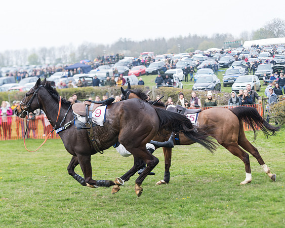 Race 4 - The Restricted  (102 of 137)