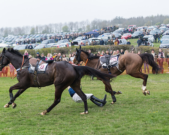 Race 4 - The Restricted  (104 of 137)