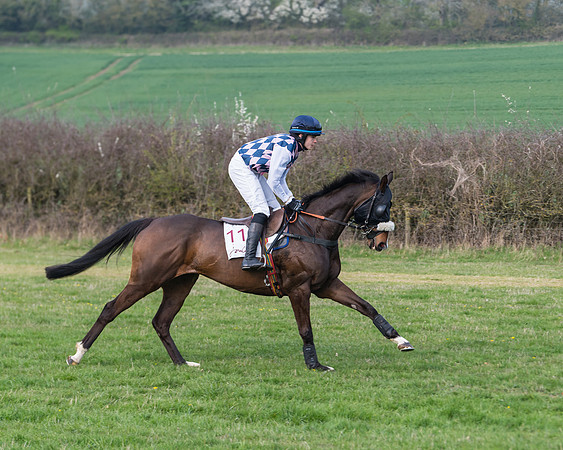 Race 7 - Conditions 8 and over (18 of 236)