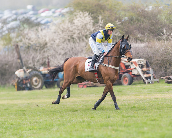 Race 7 - Conditions 8 and over (111 of 236)