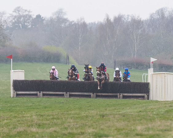 Race 7 - Conditions 8 and over (146 of 236)