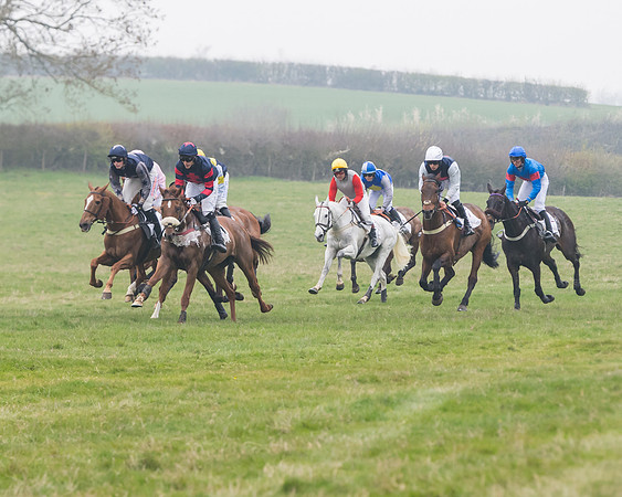 Race 7 - Conditions 8 and over (151 of 236)