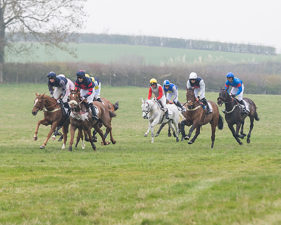Race 7 - Conditions 8 and over (152 of 236)