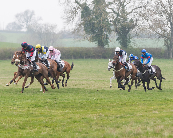 Race 7 - Conditions 8 and over (154 of 236)