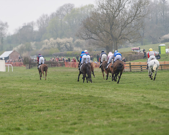 Race 7 - Conditions 8 and over (175 of 236)