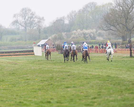 Race 7 - Conditions 8 and over (176 of 236)