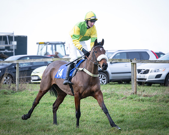 Race 2 - Maiden (27 of 145)
