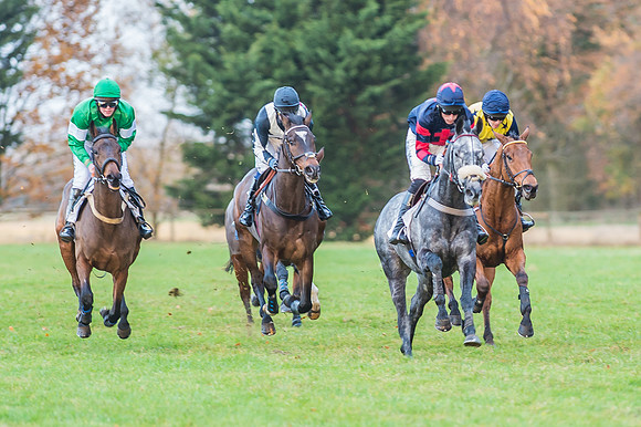 2 Mile 4 Furlong Maiden Race -8