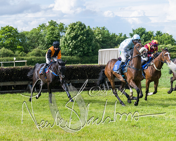 Race 5 - Restricted Race (209 of 434)
