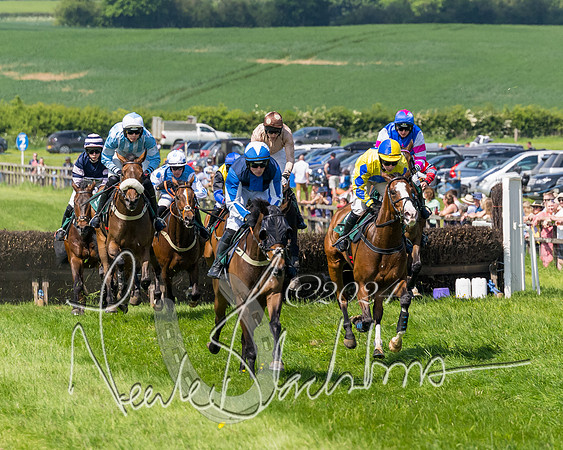 Race 2 - The Maiden  (219 of 442)