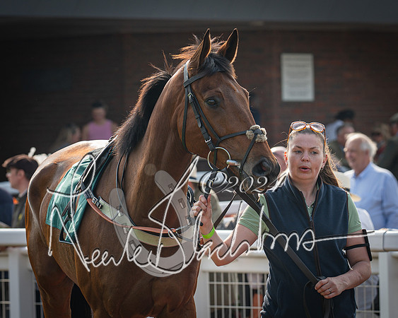 Race 2 - The Venatour sports travel intermediate point to point hunters’ steeplechase 5 year olds and over 3m2f (17 of 163)
