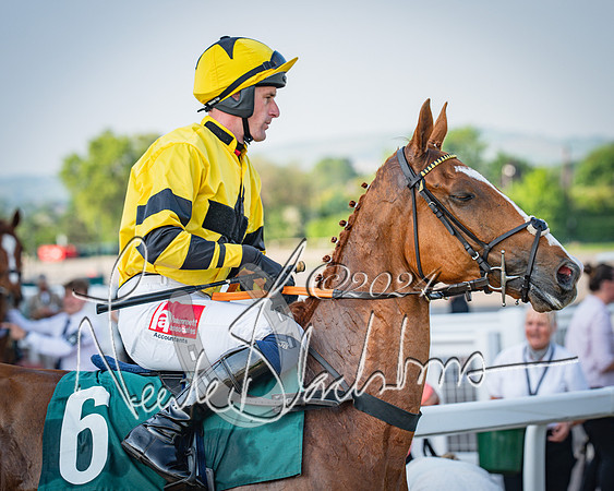 Race 3 - The Junior Jumpers open hunter's steeple chase 3m1f56y (39 of 156)