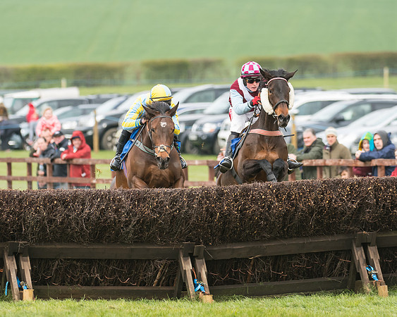 Race 2 - Mares Maiden (6 of 65)