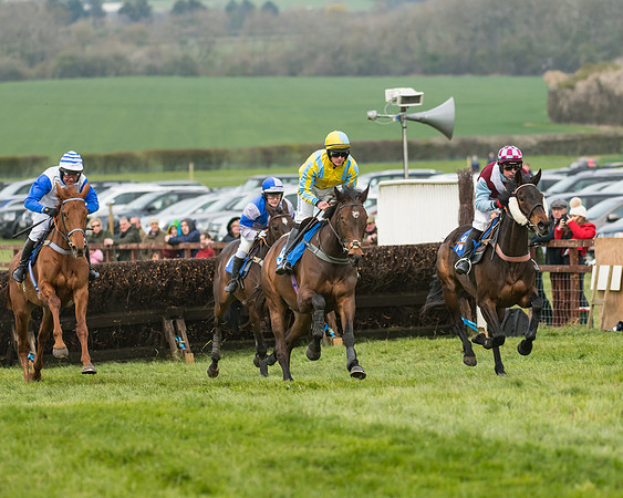Race 2 - Mares Maiden (11 of 65)
